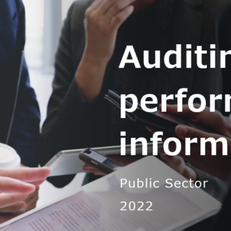 Auditing performance information in the public sector