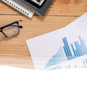 Budgets in Local Government