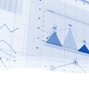 Analyse financial reports of municipalities