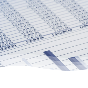 Budgeting/ reporting cycle